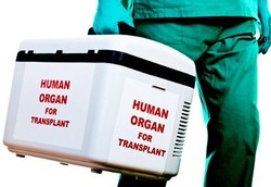 Organ Tubuh yang Paling Banyak Diincar Mafia Pasar Gelap