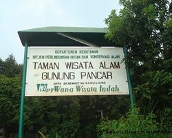Berendam di air panas Gunung Pancar