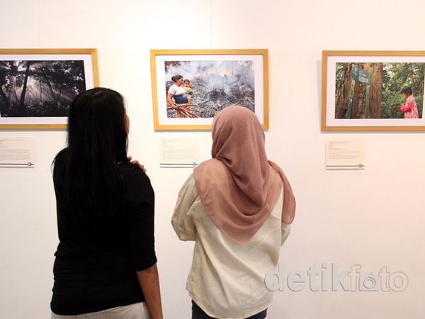 Ayo, Lindungi Hutan dari Sekarang