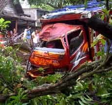 Hindari Kucing, Truk Pengangkut Ikan Tabrak Pohon dan Rumah