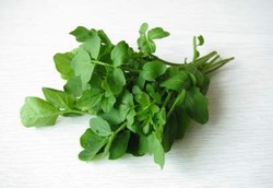 Makan Selada Sebelum Olahraga Cegah Kerusakan Sel