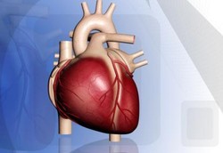 Endokarditis, Infeksi Lapisan Dalam Jantung