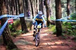Pacu Adrenalin dengan Sepeda di Sebex Bike Park, Sentul