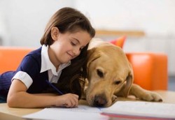 Anak-anak Lebih Bahagia Punya Binatang daripada Mainan