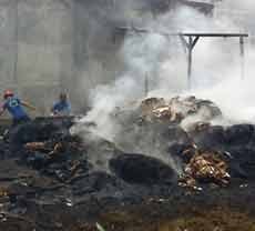 Gudang Limbah Plastik Ludes Terbakar