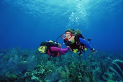 Jangan Lakukan 5 Hal Ini Saat Diving