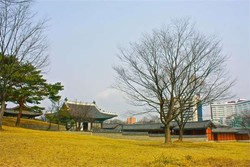Keindahan Tercipta di Tiap Sudut Kota Seoul