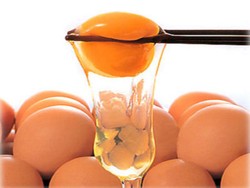 Mana yang Lebih Bernutrisi? Telur Utuh, Kuning atau Putihnya?