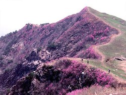 Gunung Hallasan, Puncak Tertinggi di Korea Selatan