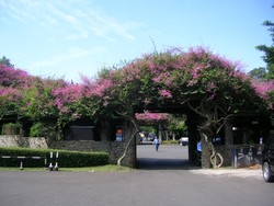 Yuk! Wisata ke 3 Kampus Terindah di Indonesia