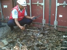 11 Kontainer dari Eropa dan Afrika Diduga Mengandung Limbah Beracun
