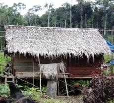 Djan Faridz Kewalahan Layani Permintaan Bedah Rumah