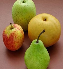 Digencet Apel Washington, Produksi Apel Malang Tinggal 30% 