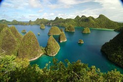 Hiu Dibantai, Turis Diminta Ikut Menjaga Raja Ampat