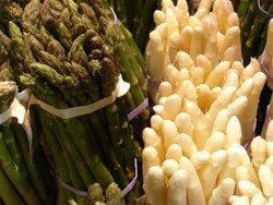 Pasokan Asparagus Berkurang, Asparagus Festivalpun Batal