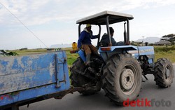 Korupsi Rp 12 Miliar, Pejabat Kementan Dihukum 15 Bulan Bui