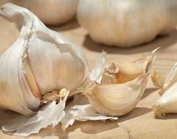 Bawang Putih Usir Bakteri Penyebab Keracunan Makanan