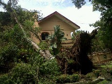 Medan Dilanda Angin Kencang Hingga Pekan Depan