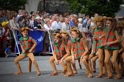 Miaw! Ada Festival Kucing di Belgia