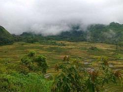 Kesejukan Khas Sulawesi Selatan di Malino