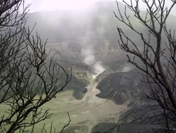 Libur Panjang di Bandung, Ada Festival Tangkuban Perahu