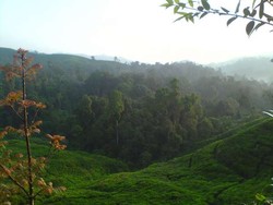 Jalur Pendakian Gunung Salak Ditutup Sementara