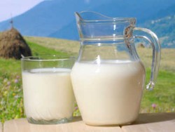 Larangan Minum Susu Mentah Didemo di Chicago