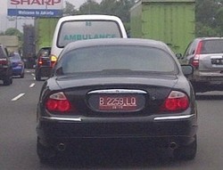 Jaguar Berpelat Merah