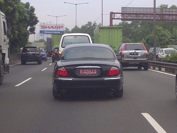 Jaguar Berpelat Merah