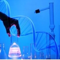 Bioinformatika, Genome & The Final Frontier