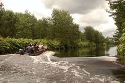 Speed Boat Tabrak Kayu di Sungai Musi, 1 Penumpang Tewas