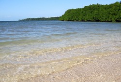 Pantai Bama, Permata di Africa van Java