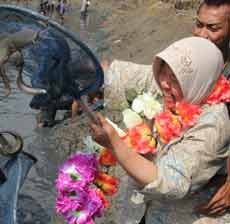 Serunya Panen Ikan Massal, Satu Pesona Surabaya