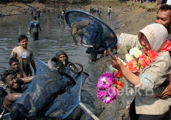Berebut Ikan Bareng, Satu Pesona Surabaya