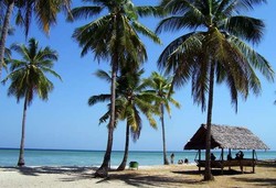 Pulau Hoga, Kecantikan Sempurna dari Sulawesi Tenggara