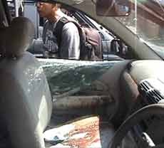 Dua Residivis Tewas Ditembak Saat Curi Sapi Limosin