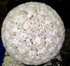 Dari Sampah Kerang Bisa Kantongi Rp 200 Juta/Bulan