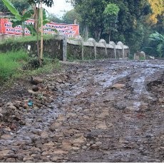 HLKI Juga Laporkan Kerusakan Jalan ke Ombudsman