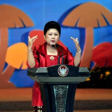 Ini Alasan Ruhut Jagokan Ani Yudhoyono jadi Capres 2014 