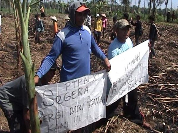 Warga Jember Tuntut Tanah HGU Dikembalikan