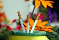 Aksi CSR Rokok Hanya untuk Cari Muka