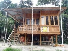 Perambah Hutan Bakar Kamp dan Keroyok Petugas Hutan Harapan Jambi