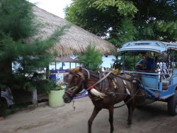 3 Destinasi Ini Bebas Kendaraan Bermotor