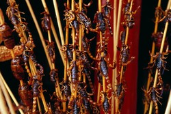 Ini Dia 6 Negara dengan Wisata Kuliner Ekstrem
