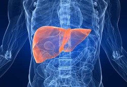 7 Makanan yang Membersihkan Hati Secara Alami