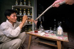 Le Mat, Desa Ular di Vietnam