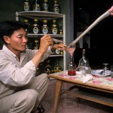 Le Mat, Desa Ular di Vietnam