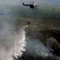 Belasan Hektar Hutan Lindung di Simalungun Terbakar
