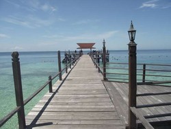Diving Sepuas Hati di Kepulauan Derawan