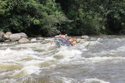 Arung Jeram di Sungai Alas, Hanya untuk Para Pemberani!